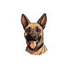 Pyjama pour chiens Malinois