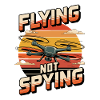 Drone Flying Not Spying Sunset