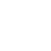 Limited Edition Classic 1999