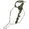Schlichte Vogelsilhouette