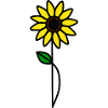 Minimalist Sunflower