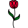 Minimalistische Tulpe