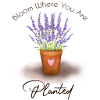 Bloom Where You Are Planted