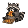 Raccoon nibbles pizza