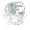 Moonlit Night Anten Adventure