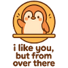 I Like You | Distance Humor