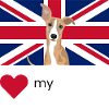 LUVMYWHIPPET (Blanc)
