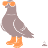 Taube Orange