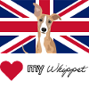 LUVMYWHIPPET (Noir)
