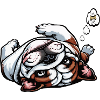 English Bulldog Bully Bully Owner Bullyfan