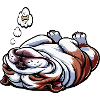 English Bulldog Bully Bully Owner Bullyfan