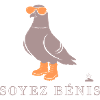 Pigeon Soyez Bénis Orange