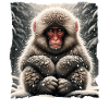 Schneeaffe Snow Monkey