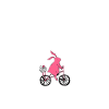 Diamonds Are Bunny's Best Friend