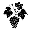 Weinrebe