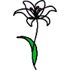 Minimalist Lily