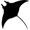 Manta Ray