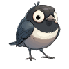 Magpies Magpie