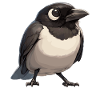 Elstern Elster
