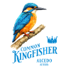 Kingfisher Kingfisher Bird Nature Design