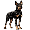 Dobermann