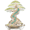 Bonsai tree