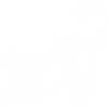 Minimalist Cat