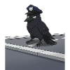 Raven en policier dans la rue
