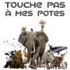 Touche pas à mes potes