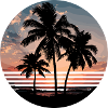 Beach Sea Palm Trees