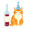 Kater partyhut