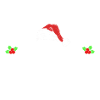 Frohe Weihnachten 
