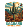 Saguaro National Park Sunset Desert Vista