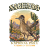 Saguaro National Park, Arizona