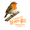 European Robin Robin Bird Design