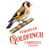 European Goldfinch Goldfinch Bird Design