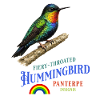 Fiery-Throated Hummingbird Kolibri Design