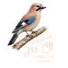 Eurasian Jay Eichelhäher Vogel Design