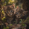 Kittens in a forest clearing