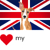 LUVMYWHIPPET (White text, Vibrant)