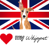 LUVMYWHIPPET (Black text, Vibrant)