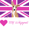 PURPLEWHIPPET (Pink)