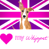 PURPLEWHIPPET (Pink text, Vibrant)