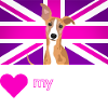 PURPLEWHIPPET (White text, Vibrant)