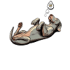 Feeling Dog Tired Weimaraner Weimaraner Owner