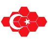 Turkey Hexagon Flag Art