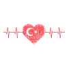 Heartbeat with Turkish flag