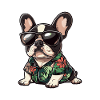 French Buldog Dog Summer
