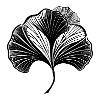 Ginkgo Leaf