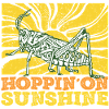 Grasshoppers, field locusts